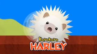 Korokoro Harley