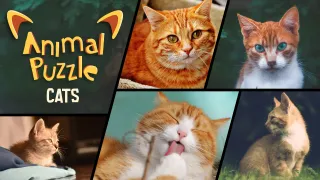 Animal Puzzle Cats