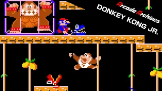 Arcade Archives DONKEY KONG JR.