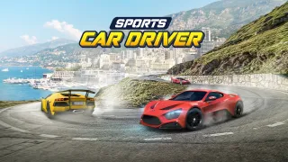 Sports Car Driver