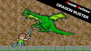 Arcade Archives DRAGON BUSTER