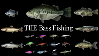 THE Bass Fishing