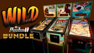 Wild Pinball