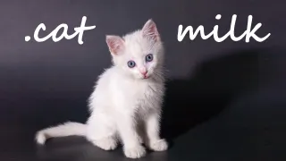 .cat Milk