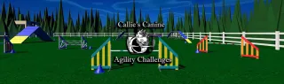 Callie's Canine Agility Challenges