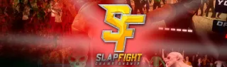 SlapFIGHT CHAMPIONSHIP VR