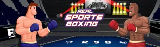 Real Sports Boxing