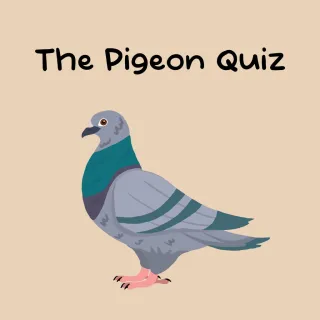 The Pigeon Quiz