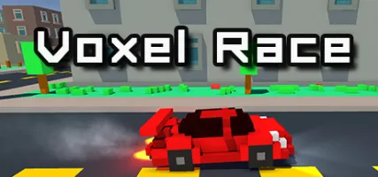 Voxel Race