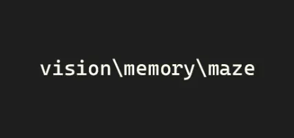 vision memory maze