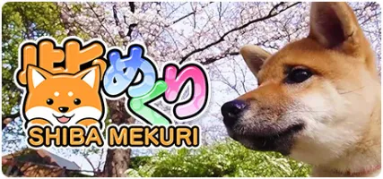 Shiba Mekuri