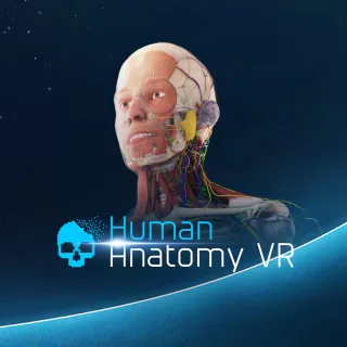 Human Anatomy VR