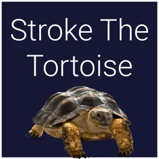 Stroke The Tortoise