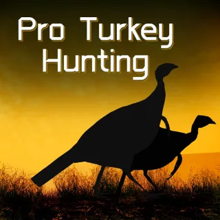 Pro Turkey Hunting