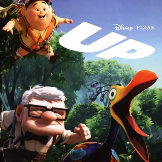 Disney Pixar Up