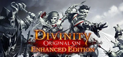 Divinity: Original Sin