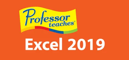 Professor Teaches Excel 2019