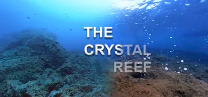 The Crystal Reef