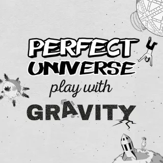 Perfect Universe