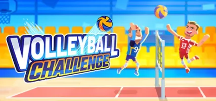 Volleyball Challenge