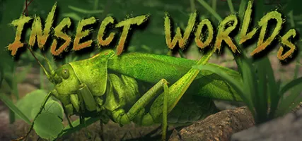 Insect Worlds