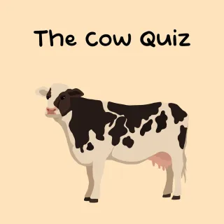 The Cow Quiz