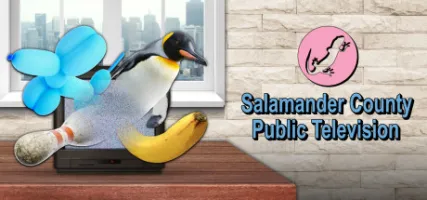 Salamander County Public Television