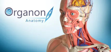 3D Organon Anatomy