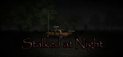 Stalked at Night