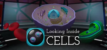 Looking Inside: Cells