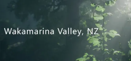 Wakamarina Valley New Zealand