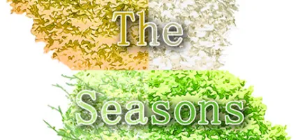 The Seasons