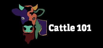 Cattle 101 - Sample Library