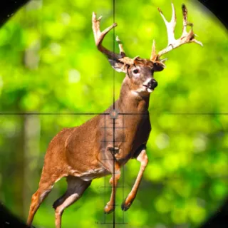 Deer Hunter 2023: Marksman