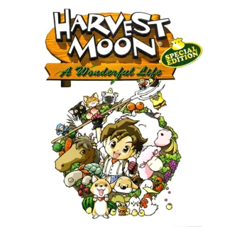 Harvest Moon: A Wonderful Life