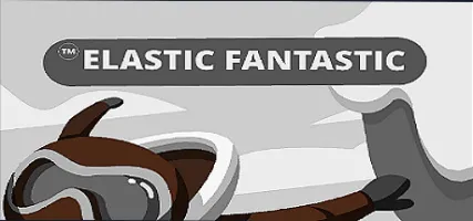 Elastic Fantastic