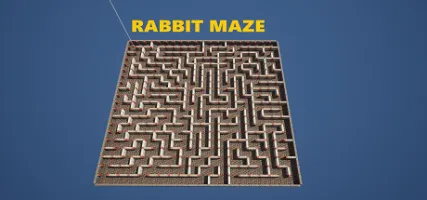 Rabbit Maze