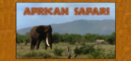 African Safari