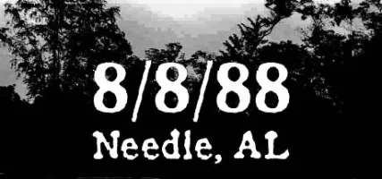 8 8 88 Needle AL