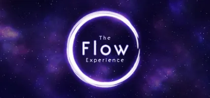 The Flow Experience