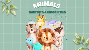 Animals - Habitats and Curiosities