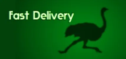 Fast Delivery