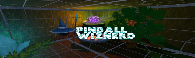 Pinball Wiznerd