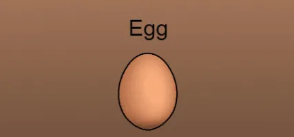 Egg