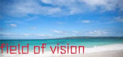 field of vision