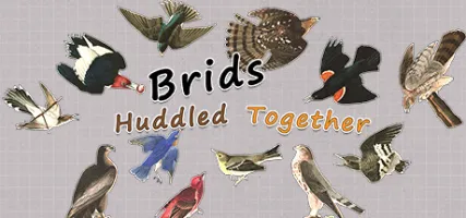 Brids Huddled Together