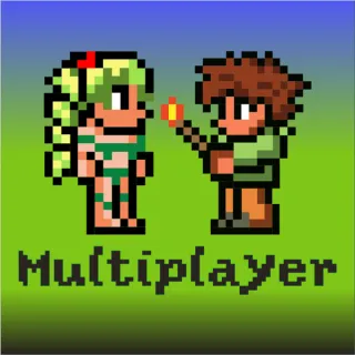 Multiplayer