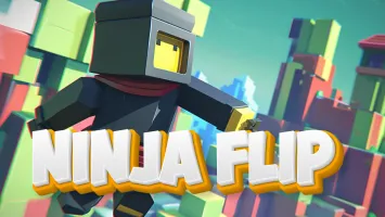 Ninja Flip