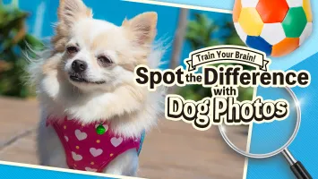 Train Your Brain! Spot the Difference with Dog Photos