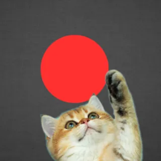 Classic Red Dot